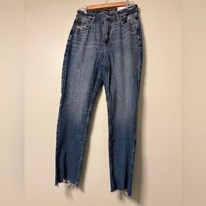 American Eagle Outfitters Strigid Mom Jeans